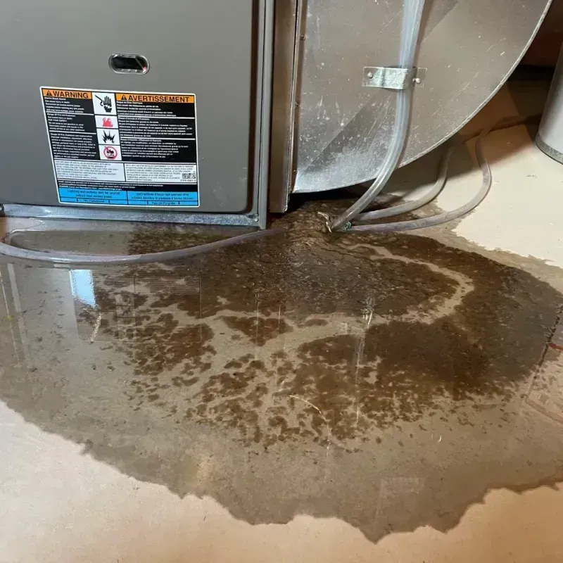 Appliance Leak Cleanup in Callahan County, TX